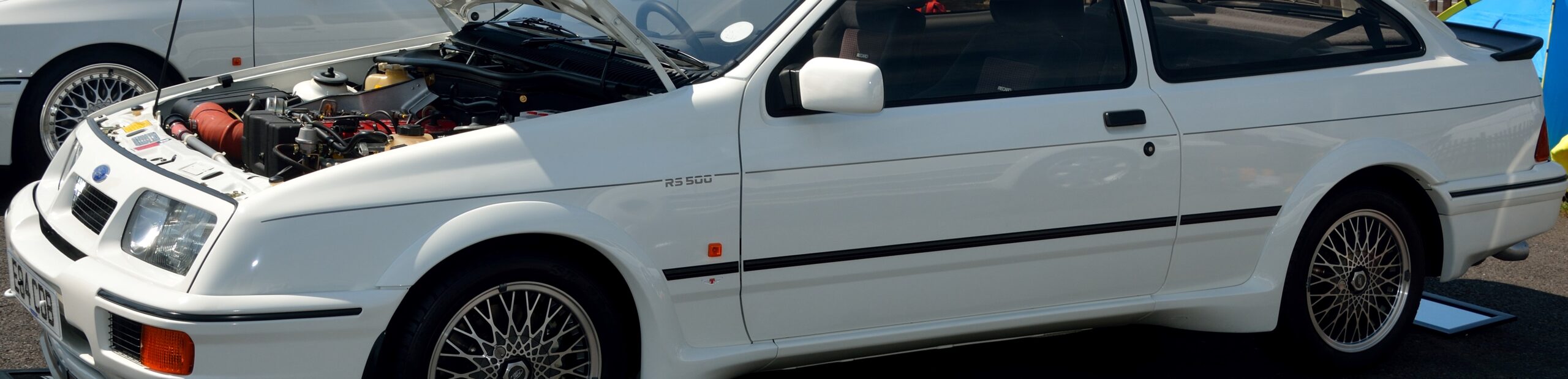 Sierra RS500